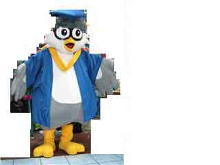 Graduation Owl Mascot Character Costume