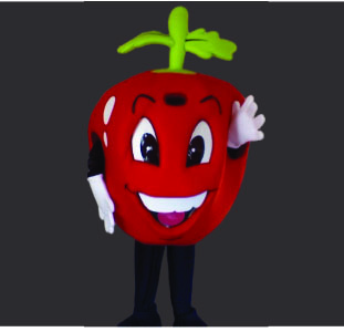 Apple Mascot Character Costume Best Mascot