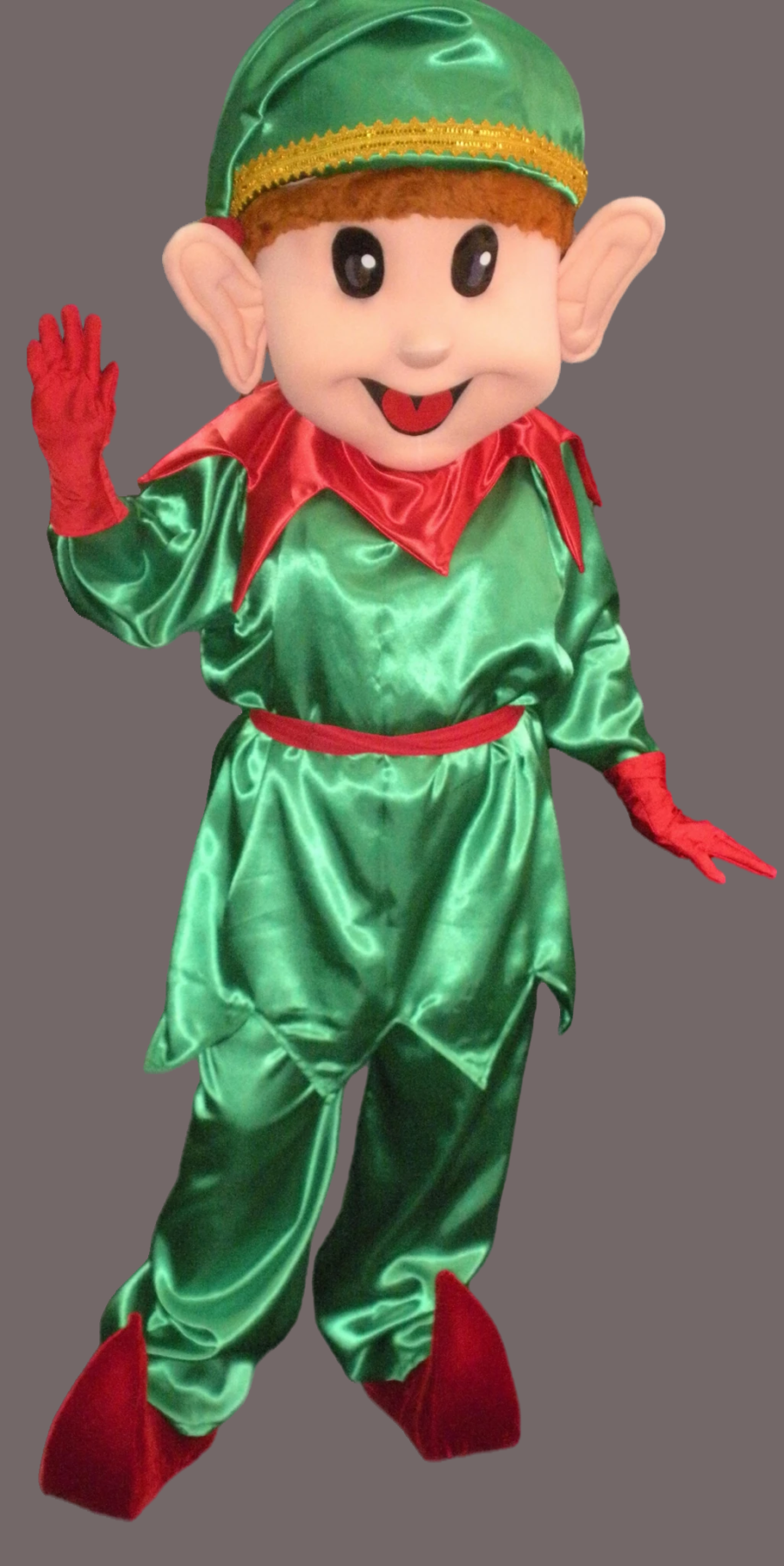 Christmas Wizzard Mascot Costume-Best Mascot