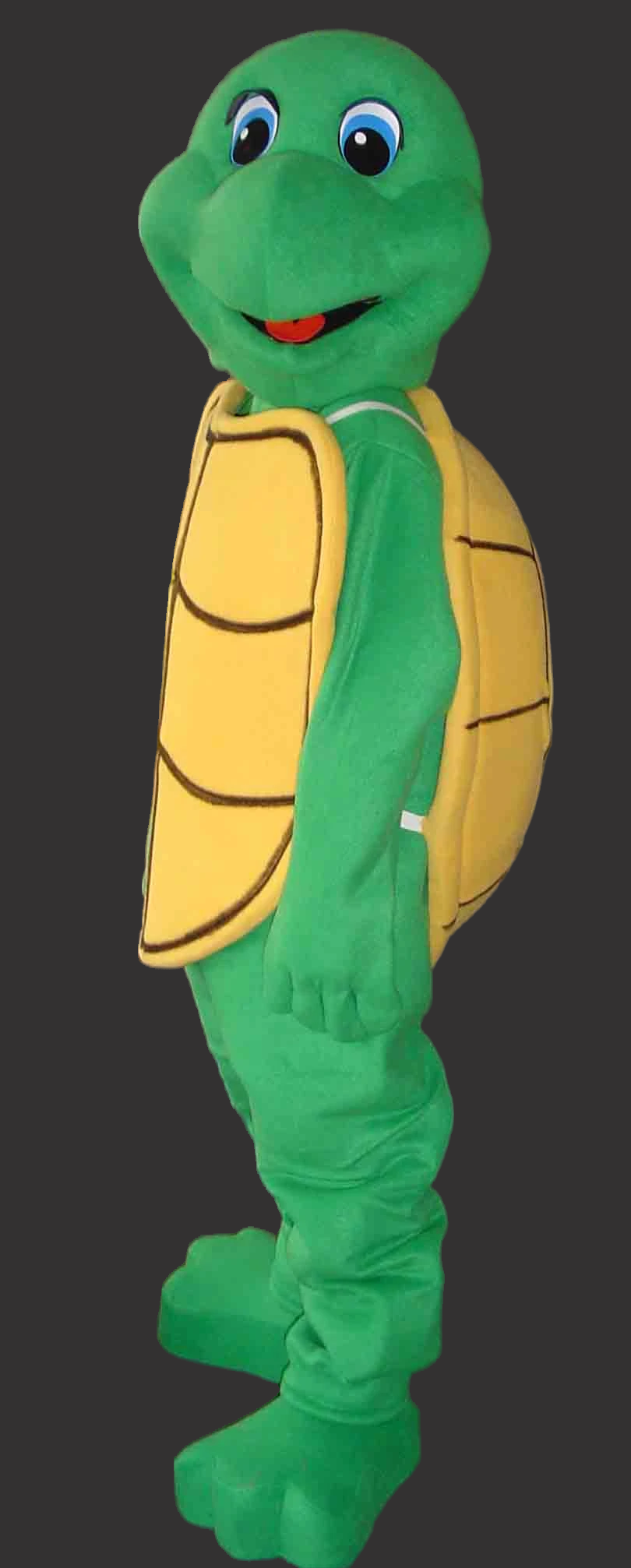 Turtle Mascot Costume-Best Mascot