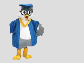 School Mascot Graduation Owl Character Costume-Best Mascot