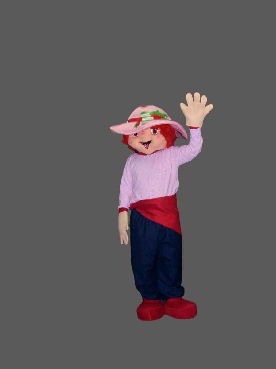 Halloween Cartoon Mascot Costume Strawberry Shortcake-Best Mascot